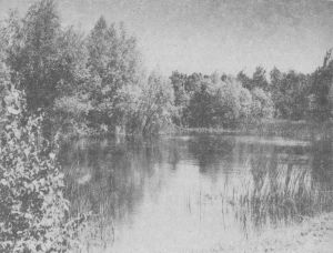 В Жигулях есть озера, образовавшиеся на месте старых карьеров по добыче гудронного камня. Их называют «гудронными»